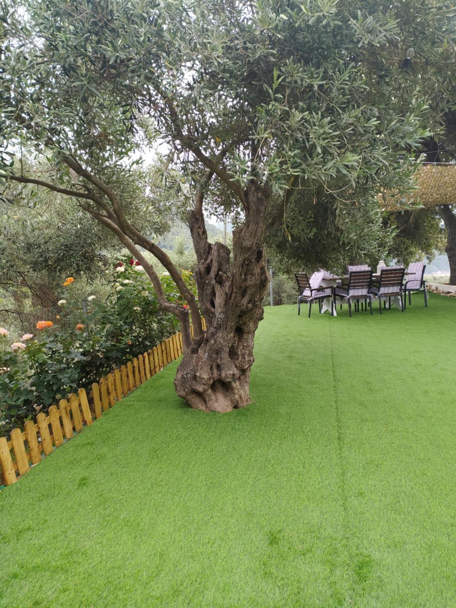 Limenari Cottage Kechria Bagian luar foto